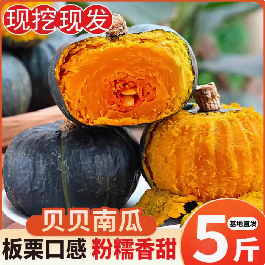 昌乐县正宗板栗味真贝贝南瓜5斤小南瓜栗面老瓜正品婴儿辅食粉糯香软甜
