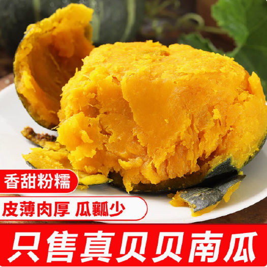 昌乐县真贝贝南瓜正宗山东5斤板栗味小南瓜栗面孕妇宝宝辅食粉糯香甜