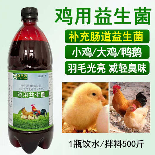 郑州鸡用益生菌益富源小鸡营养液肉鸡蛋肠道乳酸菌活菌消化除臭