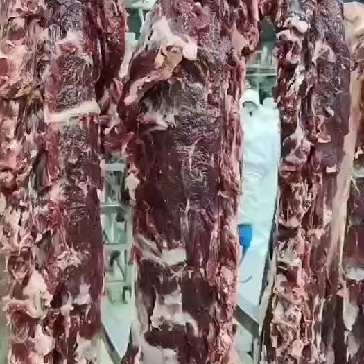 餐饮加工用四分体牛肉