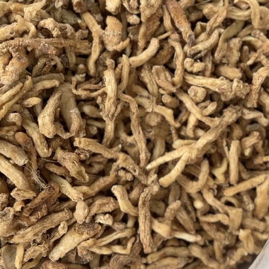 广州玉竹 湘玉竹  精品湘玉竹条湖南常宁  种植基地直销