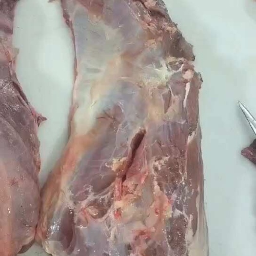 四子王旗屠宰场直批加工用全牛四分体