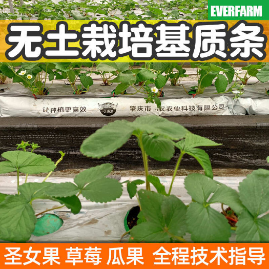 肇庆有机无土栽培种植条椰糠栽培条基质袋