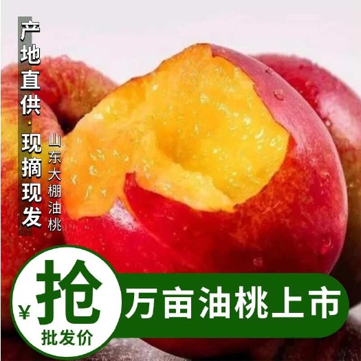 山东大棚油桃,中油四号 126油桃,产地直发