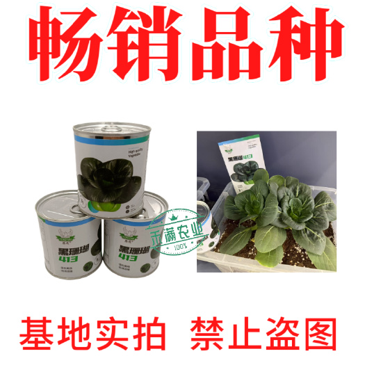 【新种上市】腾运黑珊瑚矮脚苏州青种子基地高产上海青小青菜种子