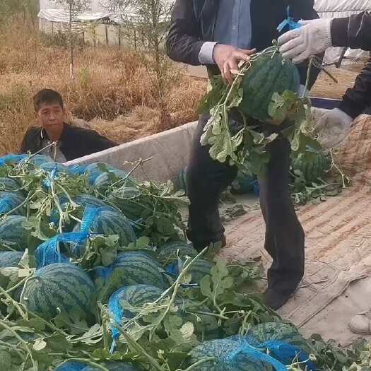 芜湖安徽芜湖鸠江美都西瓜坏损包赔支持代发代办农残检测