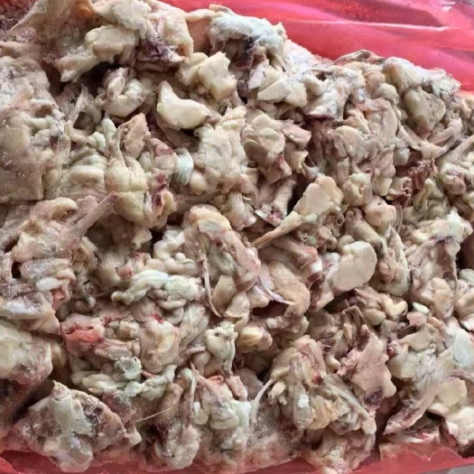 沈阳优质鸡叉骨，批发供应