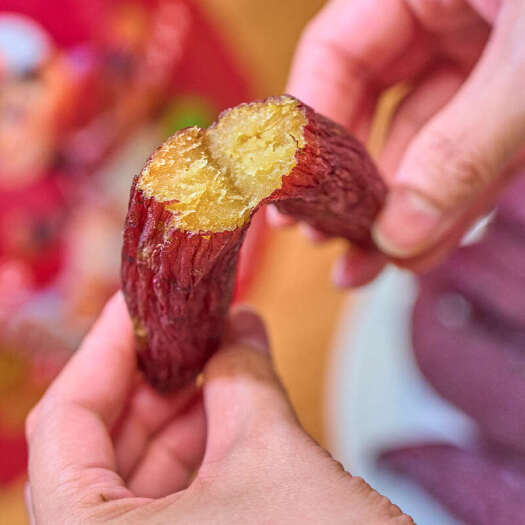 天津天津红瑶蜜薯干软糯香甜批发零售