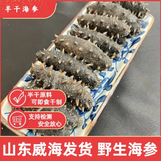 半干海参 规格齐全 拉缸盐 纯 滋补养生 