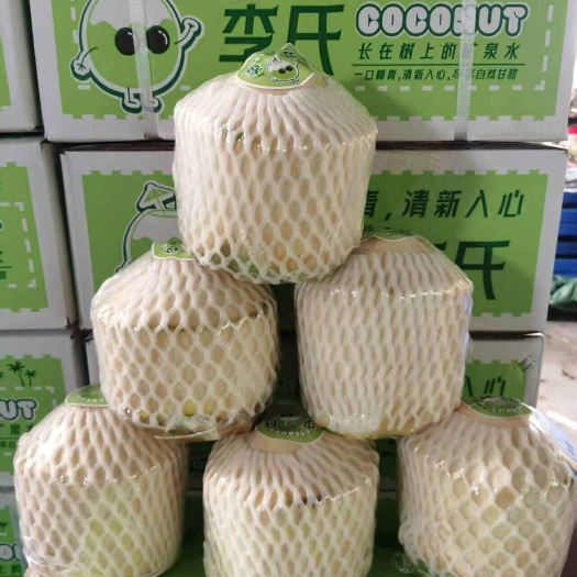 海南椰青削皮椰青现摘现发厂家直销货源充足实惠全国批发