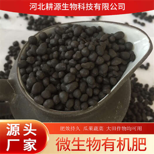 灵寿县颗粒有机肥菌肥脐橙种植底肥