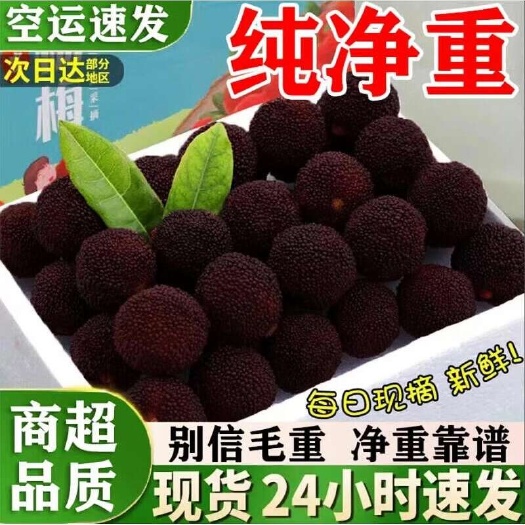 漳州福建浮宮楊梅當季高山新鮮果大個晚熟普早現(xiàn)摘楊梅現(xiàn)發(fā)水