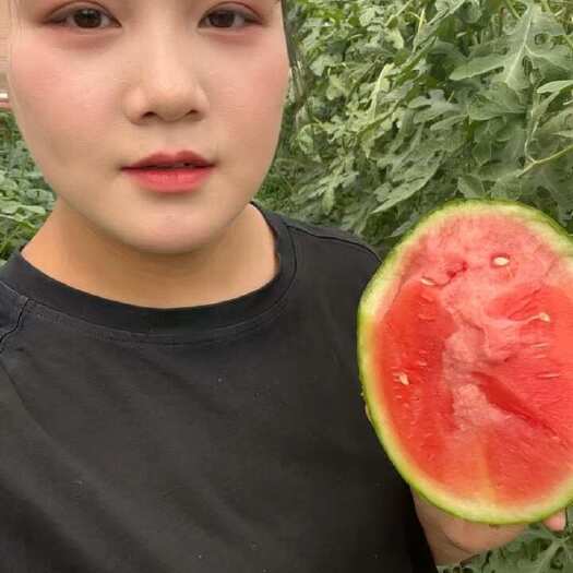 西华县精品小吊瓜，皮薄汁多，口感特甜，。