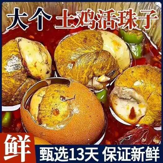 聊城土鸡新鲜13天正宗活珠子鸡胚胎半喜蛋钢化蛋毛鸡蛋香辣五香味真