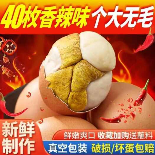 聊城新鲜活珠子13天香辣熟鸡胚蛋钢化蛋半喜非毛蛋凤凰蛋厂家整箱批