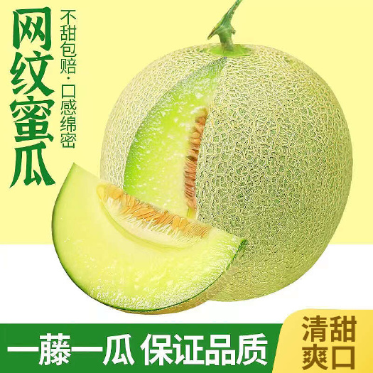 莘县山东网纹蜜瓜莘县新鲜甜瓜 当日采摘现发货 甜脆可口 农场直供