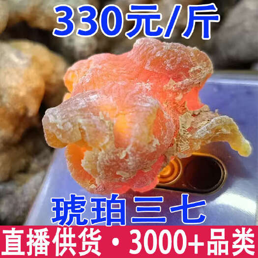 昆明琥珀三七 琥珀竹节参 熟制竹节参当季新货 一件代发