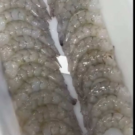 青虾仁、南美对虾仁