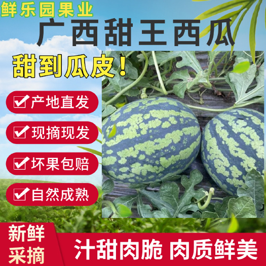 扶绥县【正宗甜王】麒麟甜王早春西瓜新鲜冰糖水果现摘薄皮麒麟西瓜
