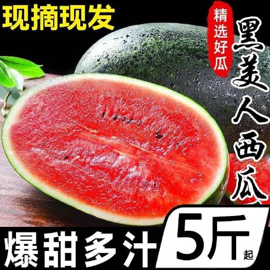 广西正宗黑美人西瓜沙甜多汁热带水果新鲜【包红包熟】