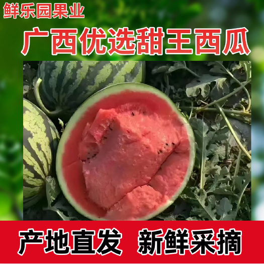 广西甜王西瓜冰糖麒麟西瓜香甜应季现摘甜王