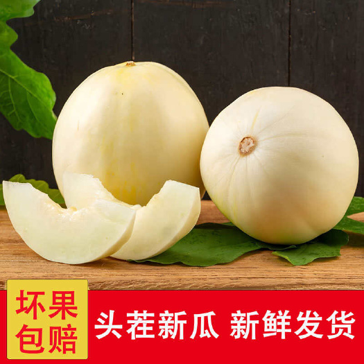 正宗陕西头茬阎良甜瓜软糯香甜小蜜蜂甜瓜坏瓜包赔