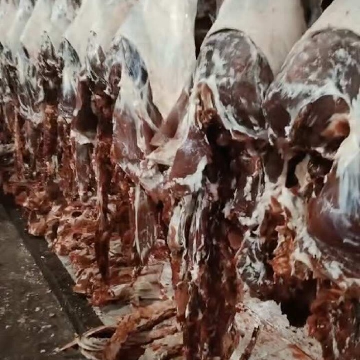 乌鲁木齐牛肉卷