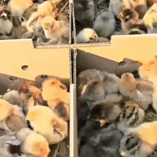 沭阳县货源充足