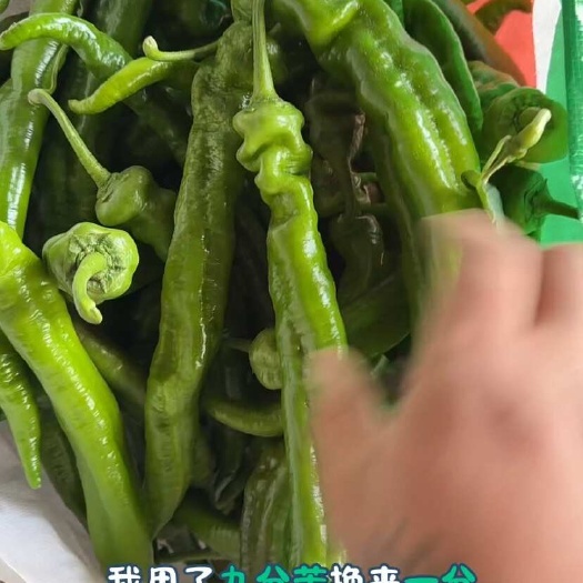 辣椒