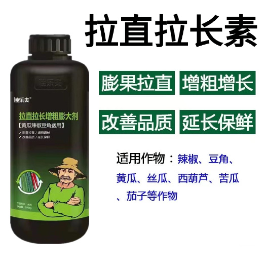 潍坊拉直拉长素辣椒黄瓜豆角丝瓜西葫芦茄子专用叶面肥膨大增产