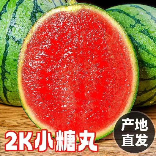 潍坊寒亭区新鲜有籽小糖丸西瓜新鲜上市，抓住你的味蕾