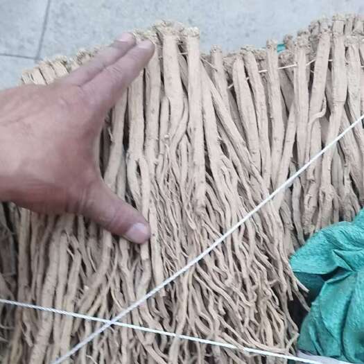 礼县白条党参 无硫 干度好 产地直销 一手货源，规格齐全量大优惠