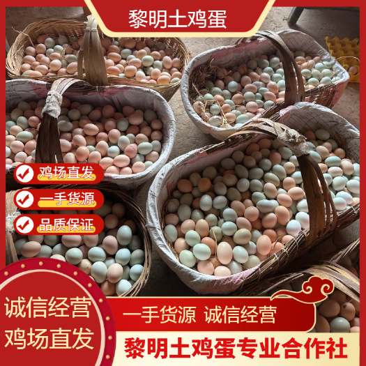 林下散养土鸡蛋,粉绿,干净新鲜,生态无抗