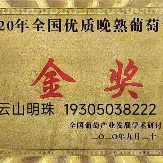 福安市福安巨峰葡萄产地直销招募城市合伙人