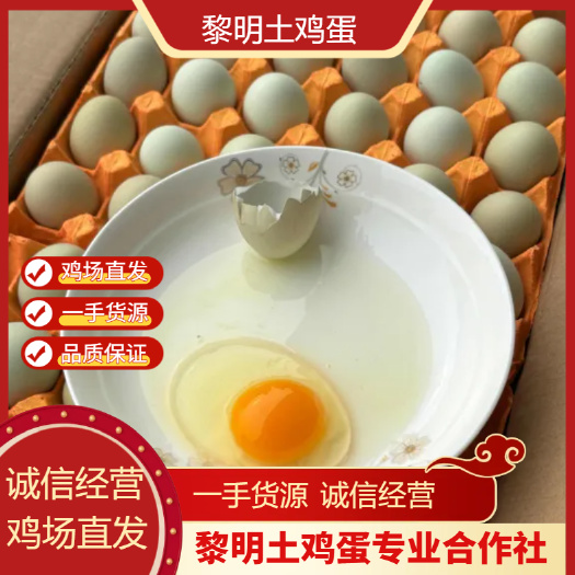 京山市鸡场直发直供精选绿壳蛋  乌鸡蛋