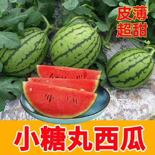 潍坊精品2K小糖丸大量现货各种品质齐全