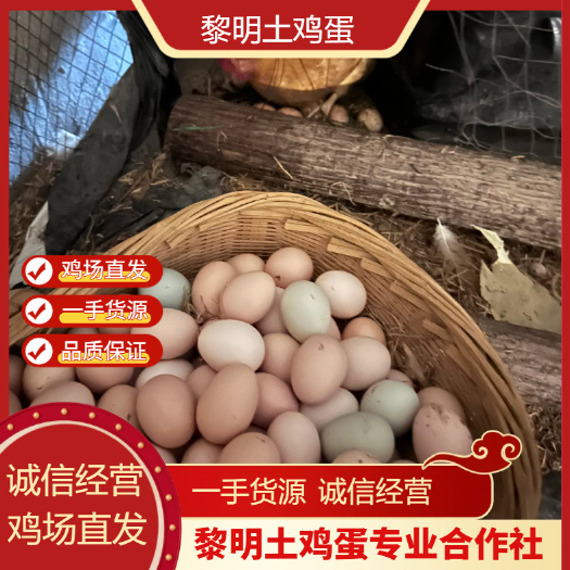 土鸡蛋，初生蛋，小鸡蛋，粉绿，无抗，现捡现发，破损包赔！