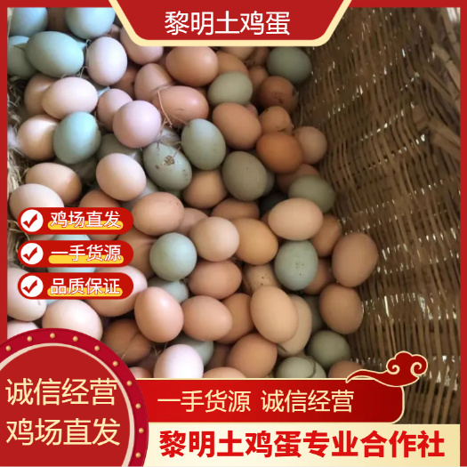京山市土鸡蛋  ，混装，山林散养，新鲜，无抗，鸡场直供