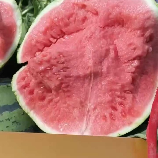 开封西瓜