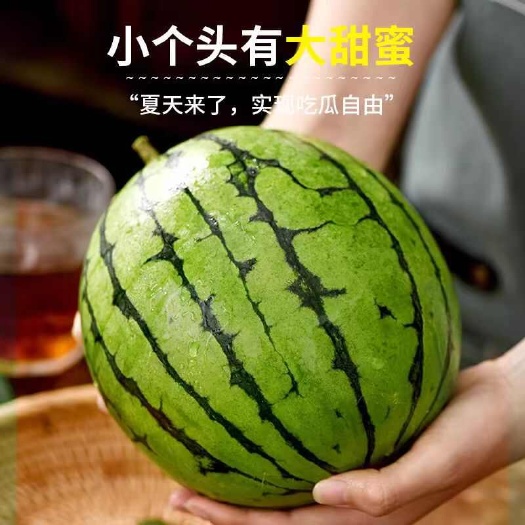 潍坊精品2K小糖丸 籽少糖度高 大量现货喜欢的来