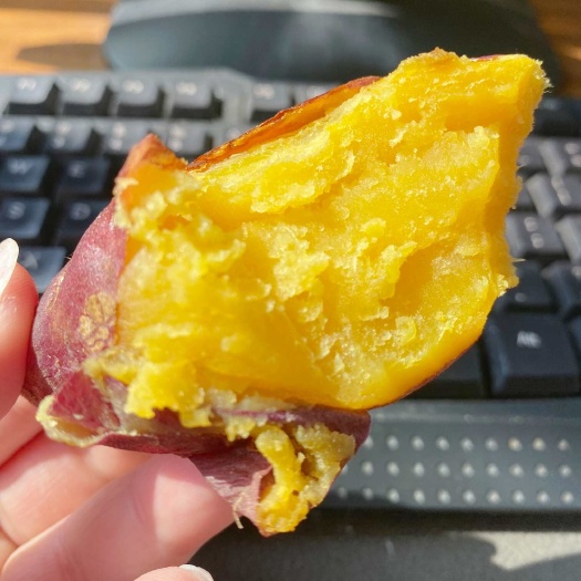 海口海南小香薯果园现挖现发健康粗粮辅食