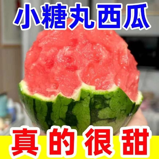 精品小糖丸产地直销，价格合适，联系我