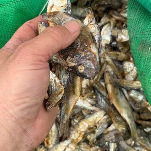廉江市养殖饲料鱼干