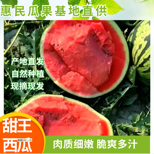 甜王西瓜，皮薄香甜，糖度在12以上