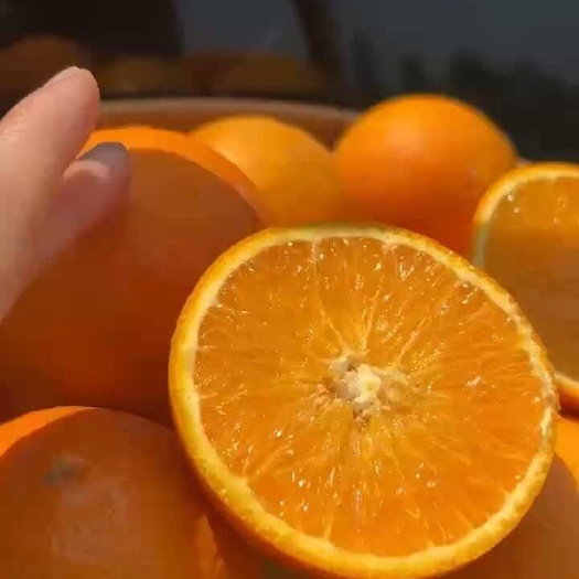 秭归县秭归伦晚橙，橙子中的爱马仕！