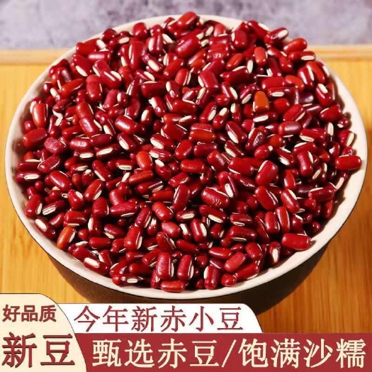 驻马店优质赤小豆供应 支持代发贴牌加工 免费提供样品