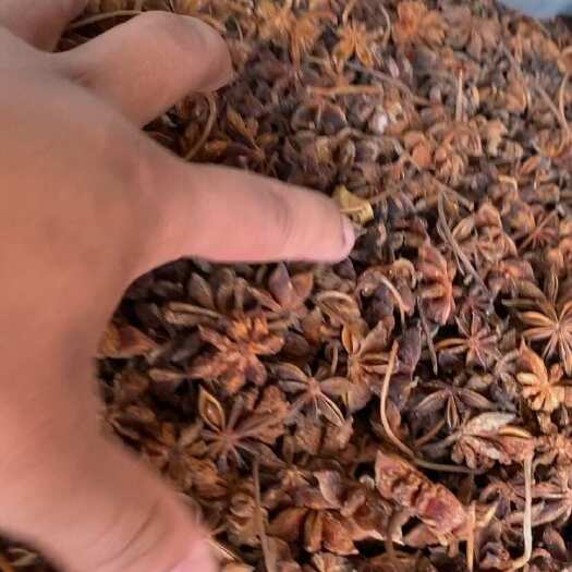 盈江县干八角