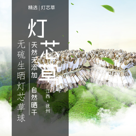 抚州正品灯芯草灯心草灯草芯新鲜非药材灯心草干货批发煲汤材料