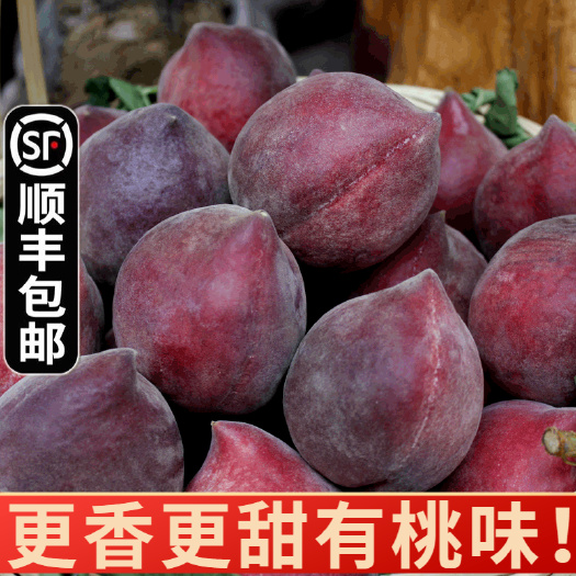 昆明云南红宝石桃子火焰桃黑美人新鲜水果5斤露天水蜜桃鹰嘴桃