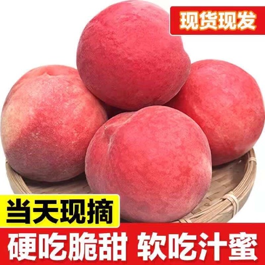 绥中县【现货头茬】春雪水蜜桃新鲜毛桃子多汁大果脆甜应季水果春雪